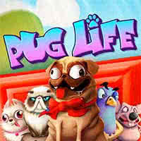 Pug Life
